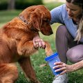 Dexas-MudBuster-Portable-Dog-Paw-Washer-Paw-Cleaner-0-3.jpg