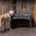IRIS-Elevated-Dog-Bowls-Elevated-Dog-Feeder-Adjustable-Dog-Bowl-Stand-for-Small-to-Large-Dogs-0-0.jpg