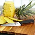 Victorinox-Swiss-Army-Cutlery-Fibrox-Pro-Knife-Set-4-Piece-0-2.jpg