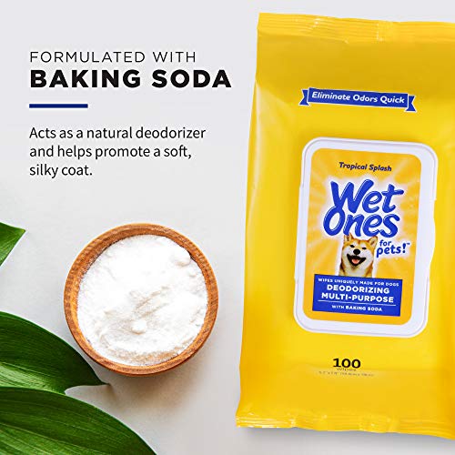 Wet-Ones-for-Pets-Deodorizing-Multi-Purpose-Dog-Wipes-With-Baking-Soda-100-ct-12-Pack-Dog-Deodorizing-Wipes-For-All-Dogs-in-Tropical-Splash-Scent-Wet-Ones-Wipes-for-Deodorizing-Dogs-0-1.jpg